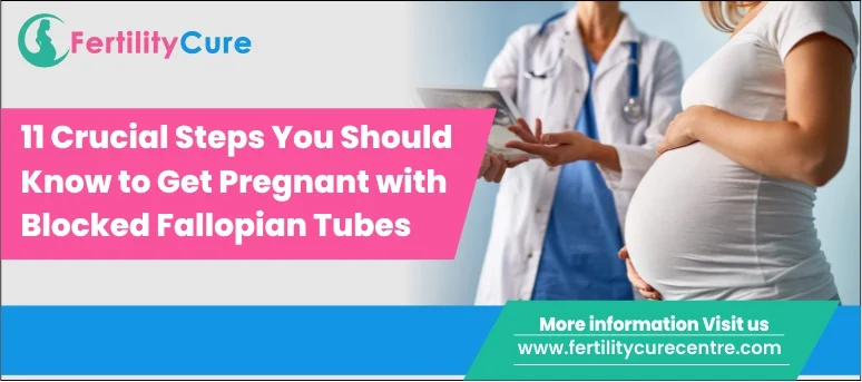 11 Crucial Steps You Should Know to Get Pregnant with Blocked Fallopian Tubes
