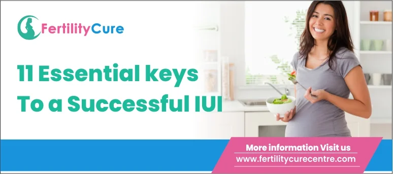 11 essential keys to a successful IUI