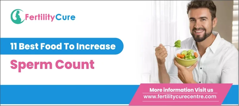 11 Best Food To Increase sperm count