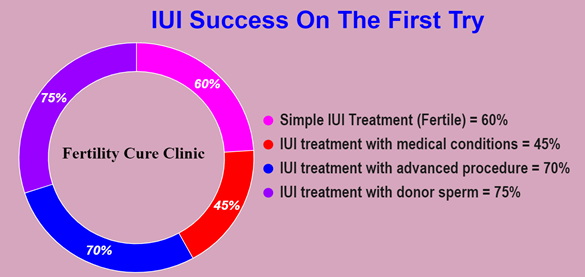 IUI success on the first try